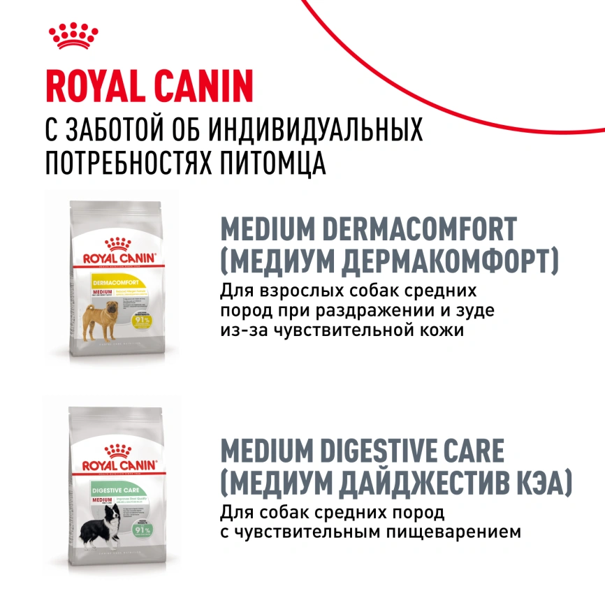 Сухой корм Royal Canin Cocker Adult для собак породы кокер-спаниель, 3 кг фото 9