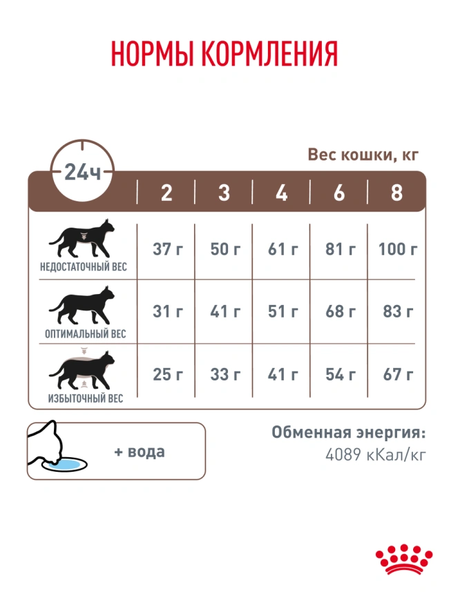Сухой корм Royal Canin Gastrointestinal для кошек, 2 кг фото 27