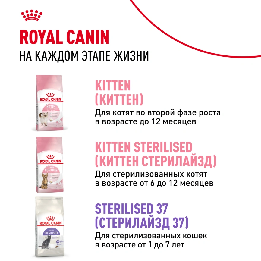 Сухой корм Royal Canin Kitten Sterilised для котят, 2 кг фото 9