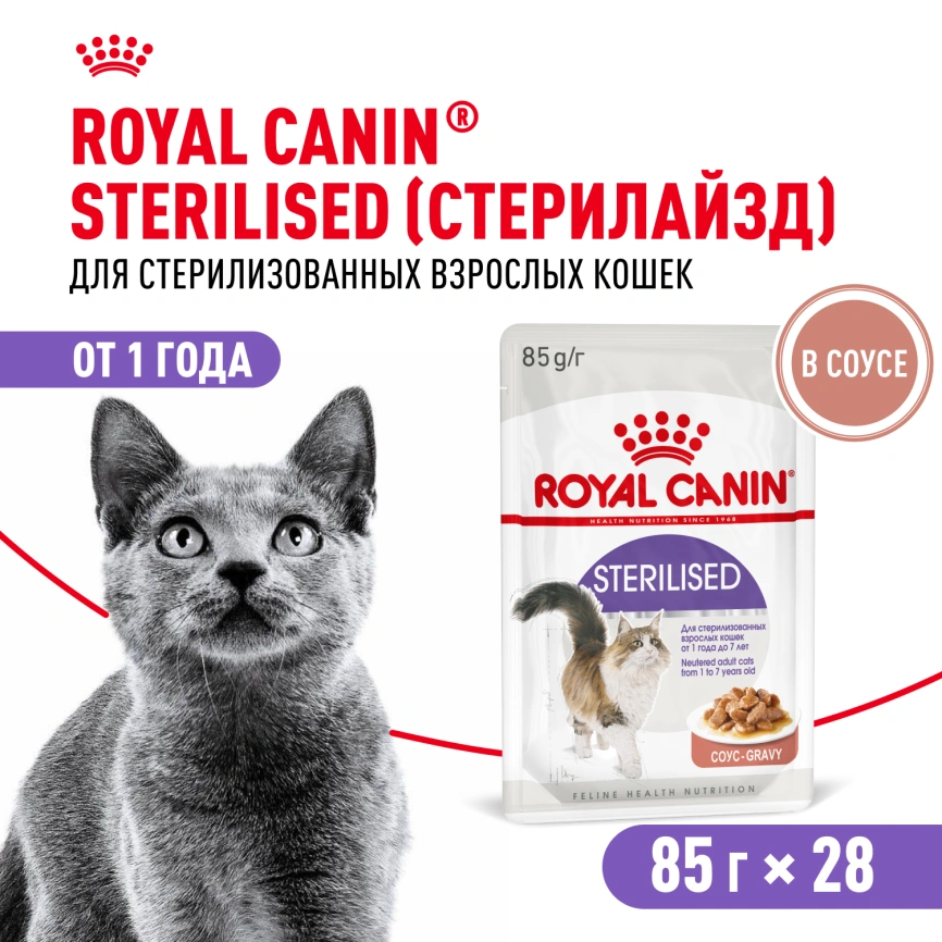 Влажный корм Royal Canin Sterilised в соусе для стерилизованных кошек старше 1 года, пауч, 85 г фото 20