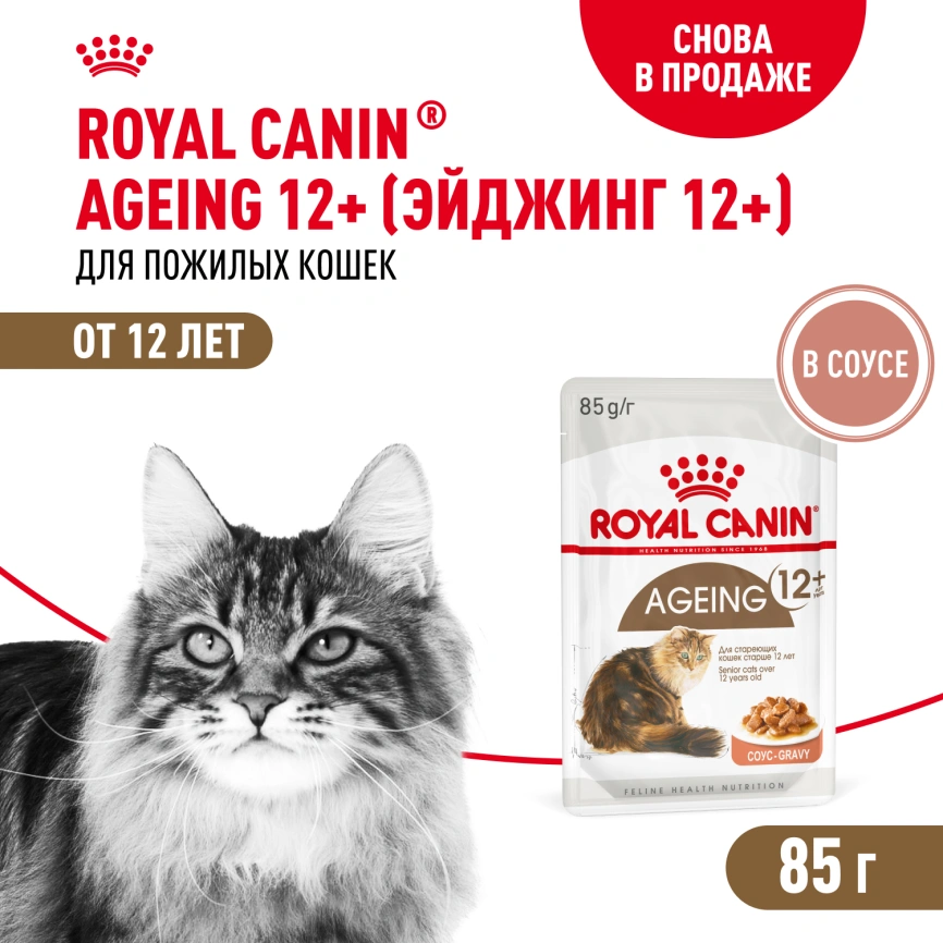 Влажный корм Royal Canin Ageing 12+ в соусе для стареющих кошек старше 12 лет, пауч, 85 г фото 1
