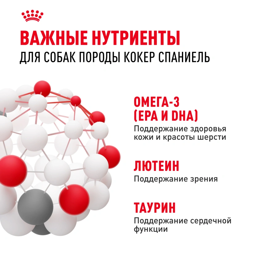 Сухой корм Royal Canin Cocker Adult для собак породы кокер-спаниель, 3 кг фото 5