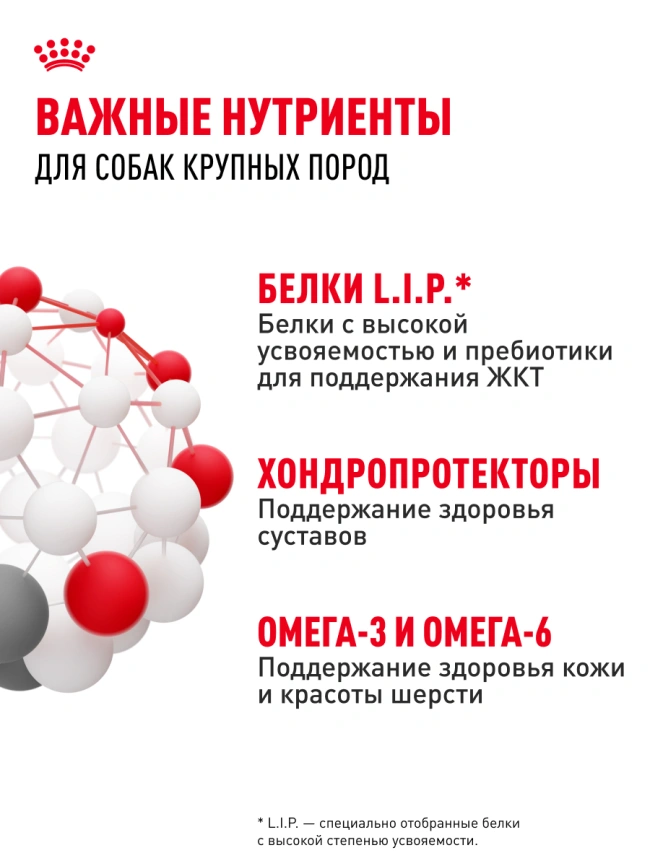 Сухой корм Royal Canin Maxi Adult для собак, 3 кг фото 17