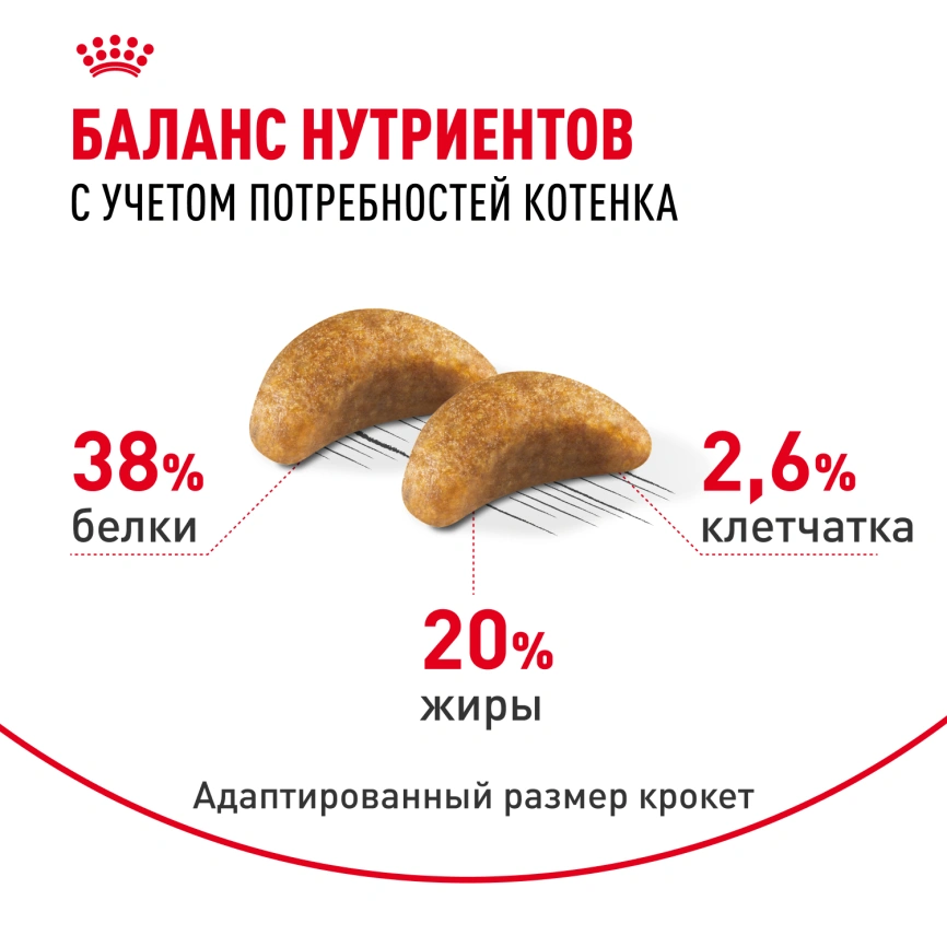 Сухой корм Royal Canin Kitten British Shorthair для котят, 10 кг фото 4
