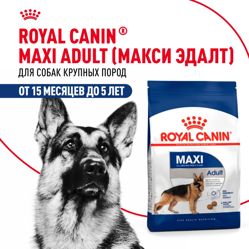 Сухой корм Royal Canin Maxi Adult для собак, 3 кг фото 12