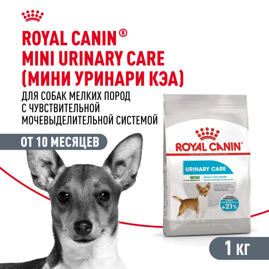 Сухой корм Royal Canin Mini Urinary Care для собак, 1 кг фото 1