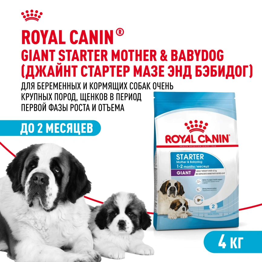Сухой корм Royal Canin Giant Starter Mother & Babydog для щенков и собак, 4 кг фото 1