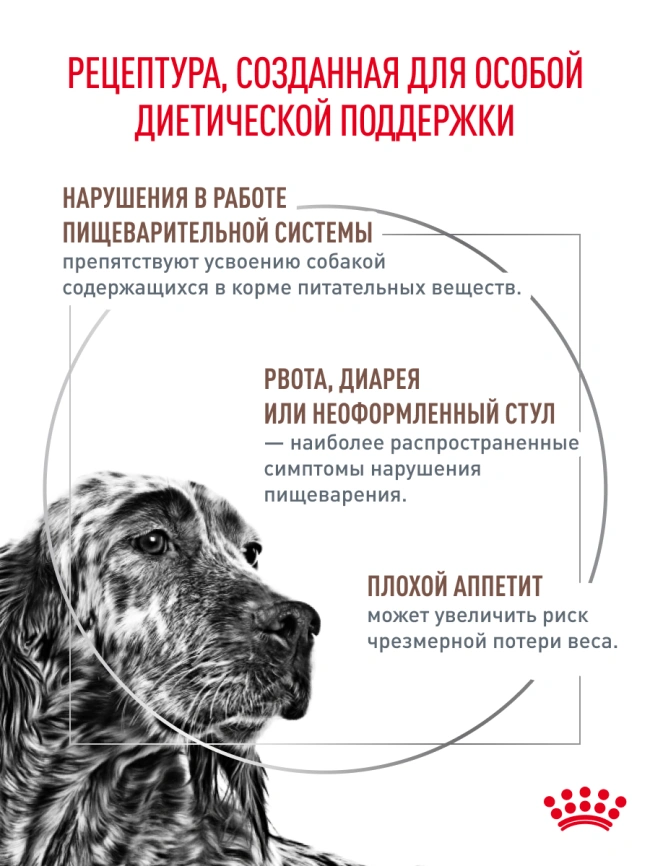 Сухой корм Royal Canin Gastrointestinal для собак, 15 кг фото 15