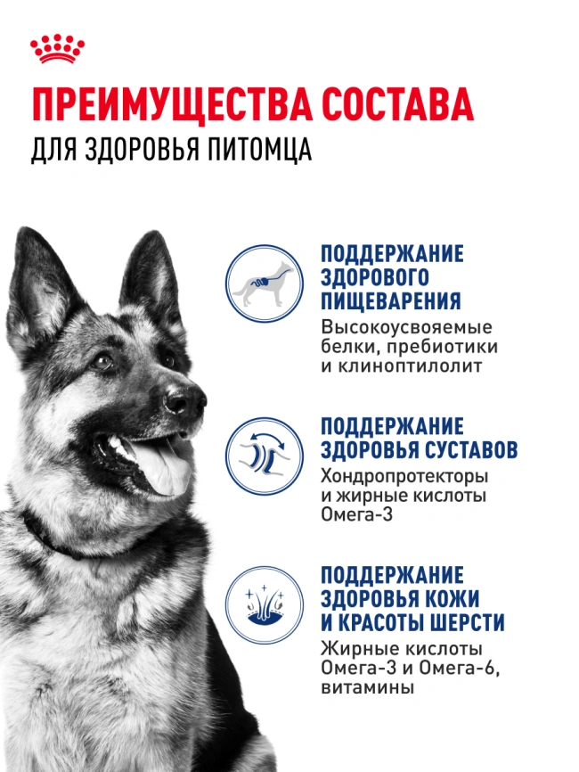 Сухой корм Royal Canin Maxi Adult для собак, 15 кг фото 15