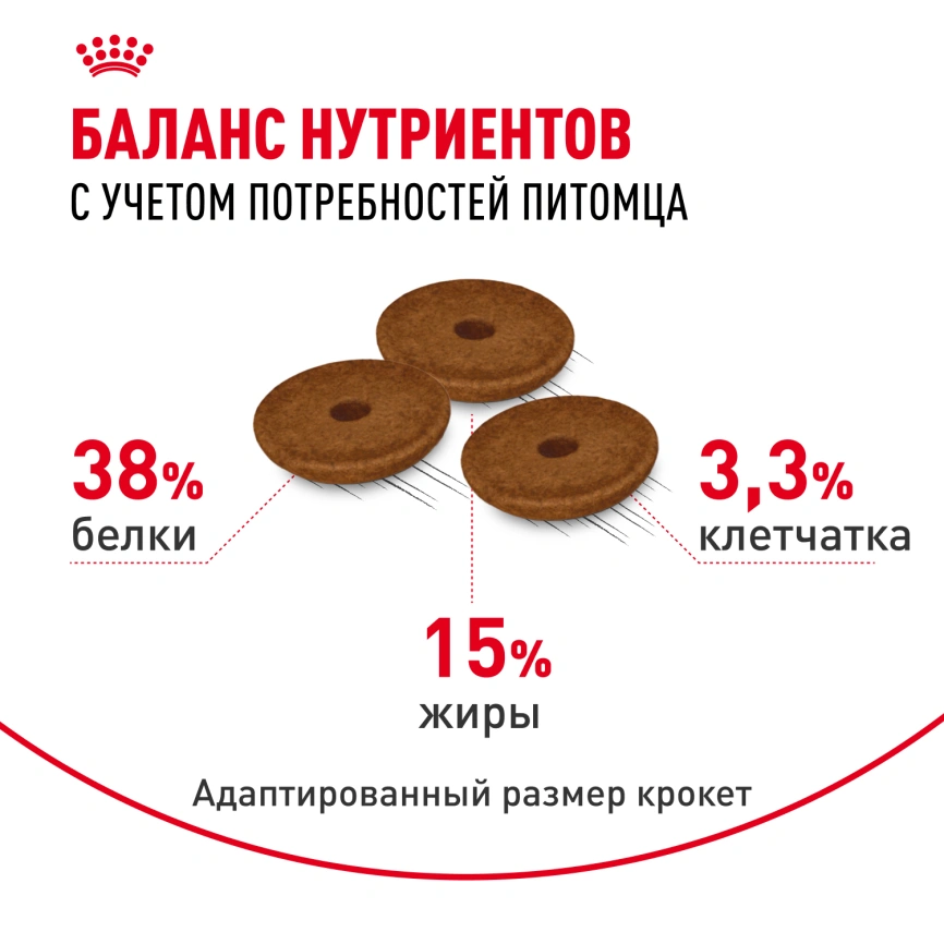 Сухой корм Royal Canin Digestive Care для кошек, 400 г фото 4