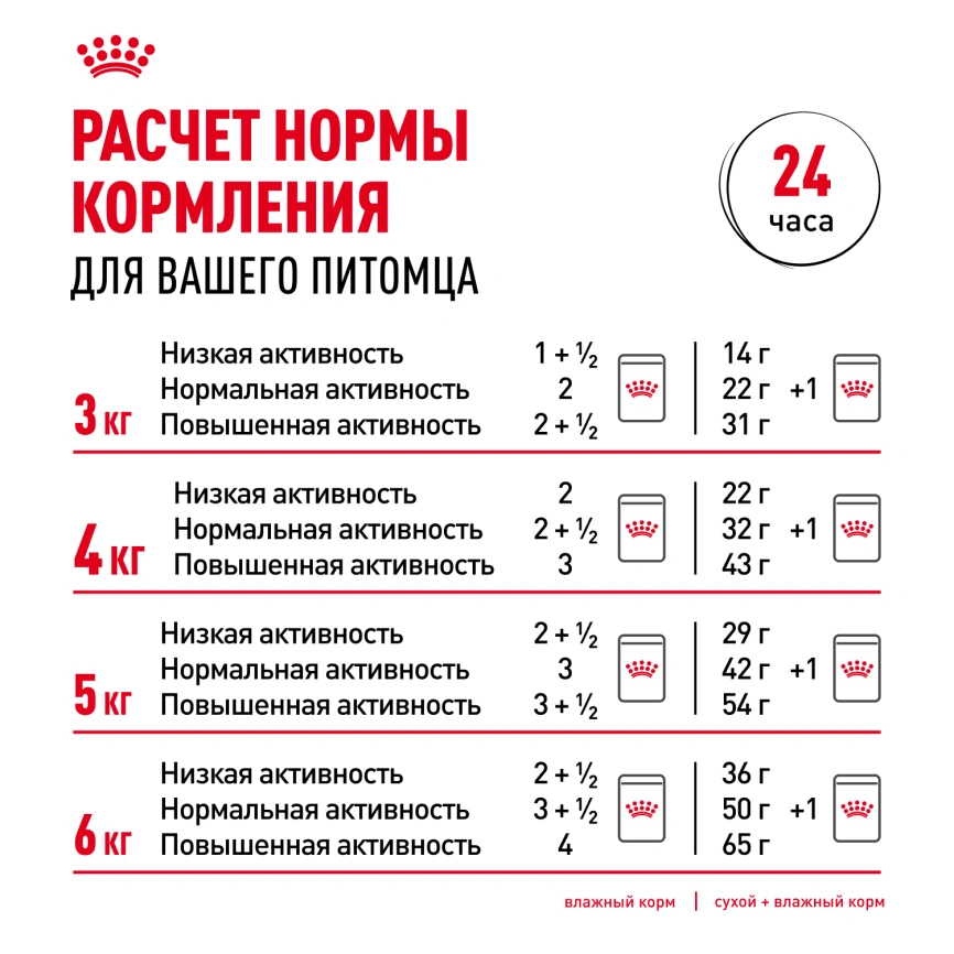Влажный корм Royal Canin Ageing 12+ в соусе для стареющих кошек старше 12 лет, пауч, 85 г фото 8