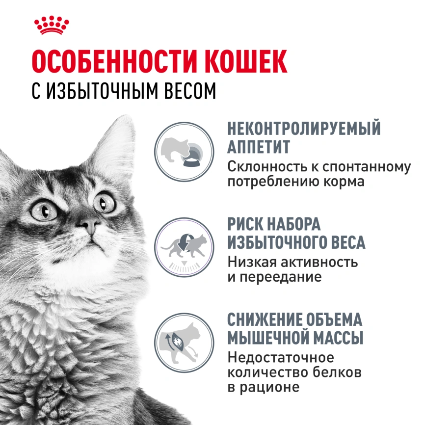 Сухой корм Royal Canin Light Weight Care для кошек, 1.5 кг фото 2