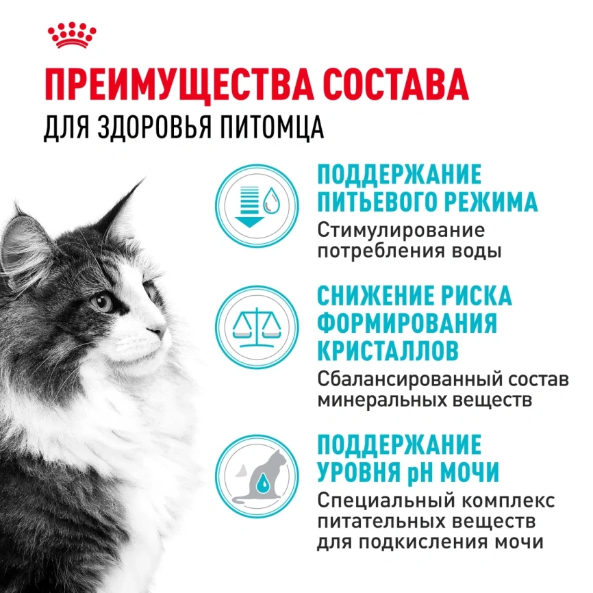 Сухой корм Royal Canin Urinary Care для поддержания здоровья мочевыделительной системы кошек, 4 кг фото 3