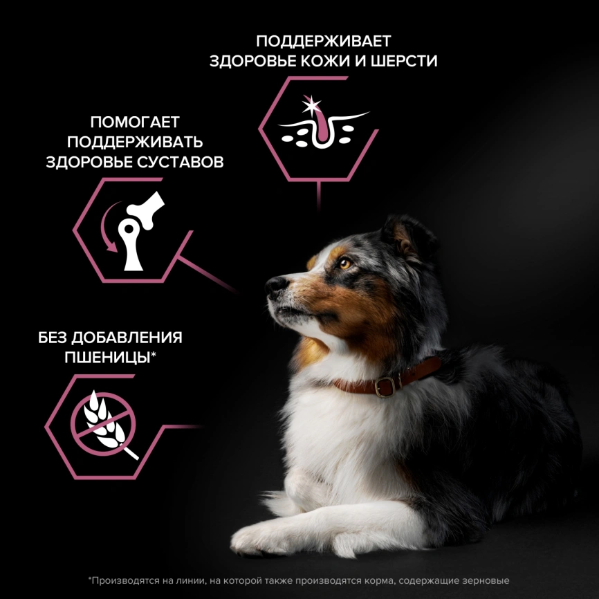 Сухой корм Purina Pro Plan Medium Adult Sensitive Skin для собак средних пород, лосось и рис, 18 кг фото 3