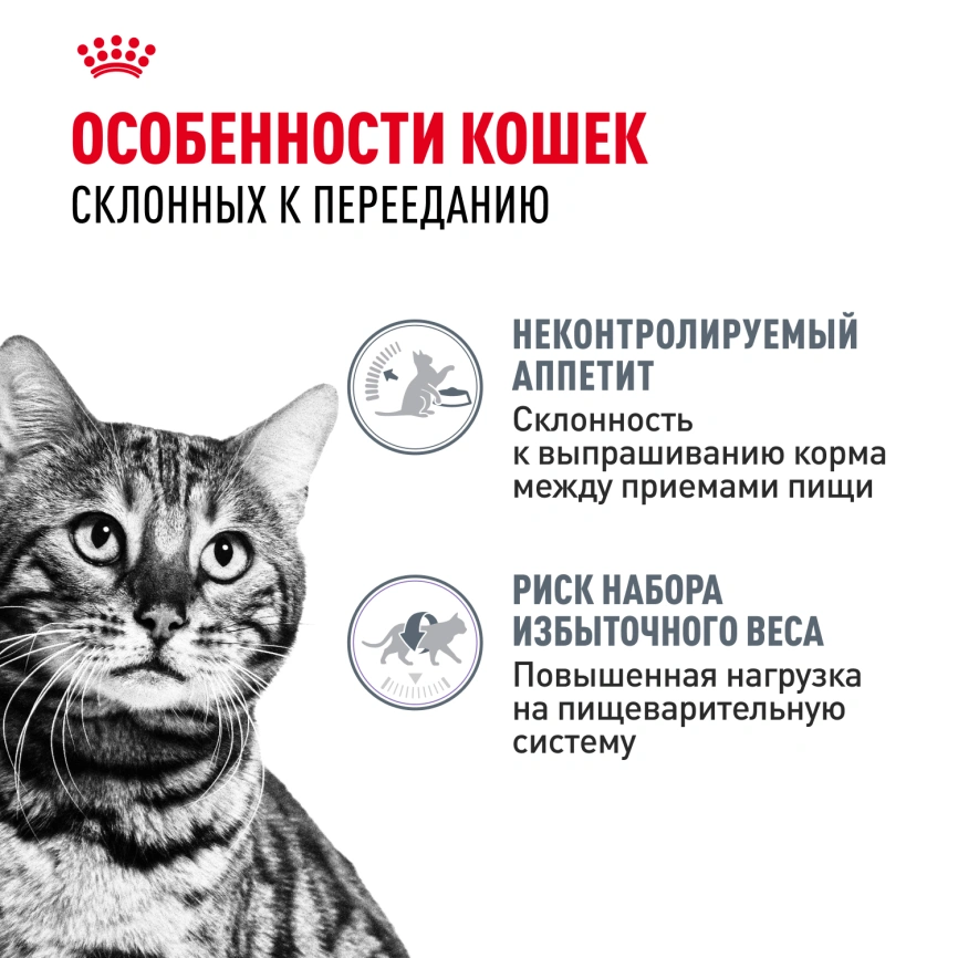 Влажный корм Royal Canin Appetite Control Care в соусе для взрослых кошек, для контроля выпрашивания корма, пауч, 85 г фото 2
