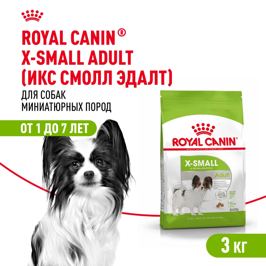 Сухой корм Royal Canin X-Small Adult для собак, 3 кг фото 1