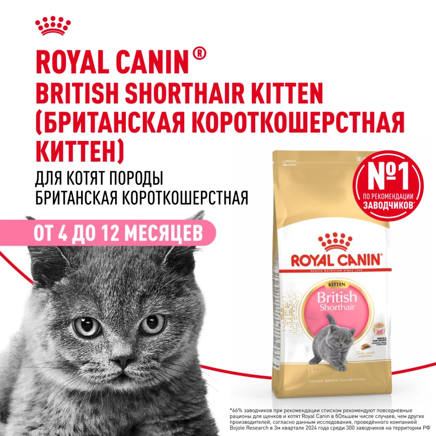 Сухой корм Royal Canin Kitten British Shorthair для котят, 400 г фото 13