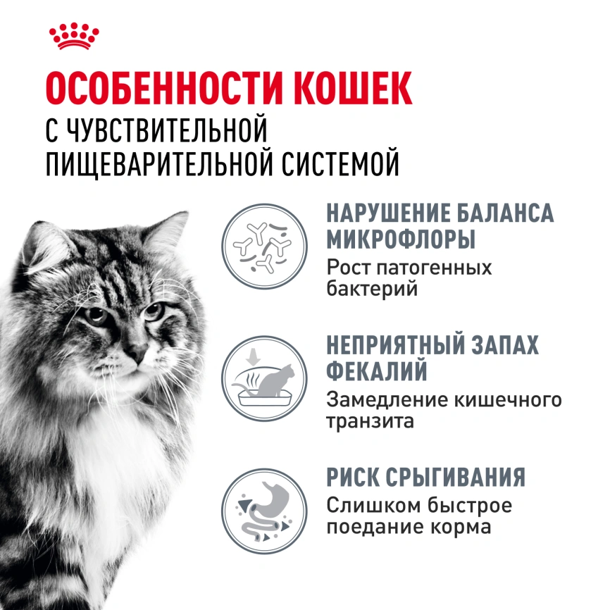 Сухой корм Royal Canin Digestive Care для кошек, 400 г фото 2