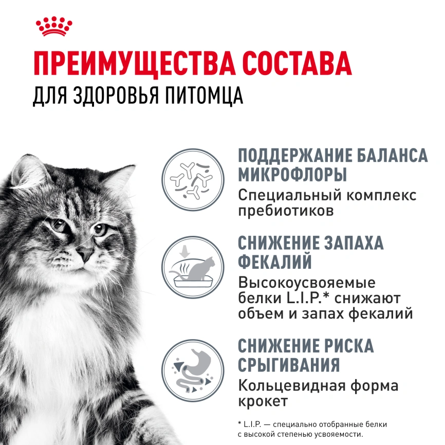 Сухой корм Royal Canin Digestive Care для кошек, 2 кг фото 3