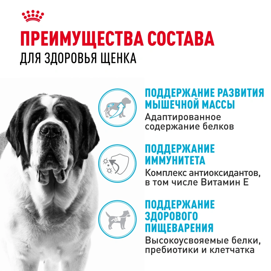 Сухой корм Royal Canin Giant Junior для щенков, 15 кг фото 3
