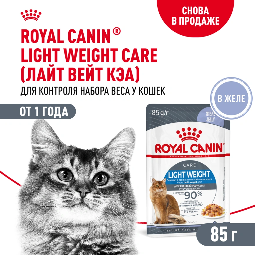 Влажный корм Royal Canin Light Weight Care в соусе для взрослых кошек, склонных к полноте, пауч, 85 г фото 1
