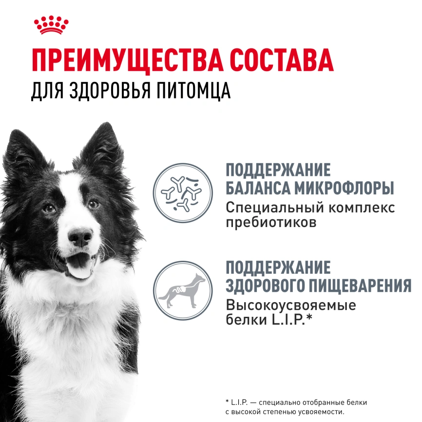 Сухой корм Royal Canin Medium Digestive Care для собак, 3 кг фото 3