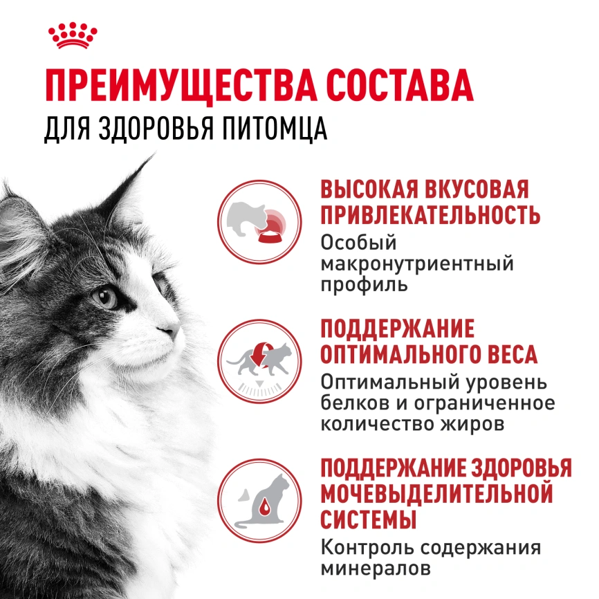 Влажный корм Royal Canin Instinctive в соусе для взрослых кошек старше 1 года, пауч, 85 г фото 3