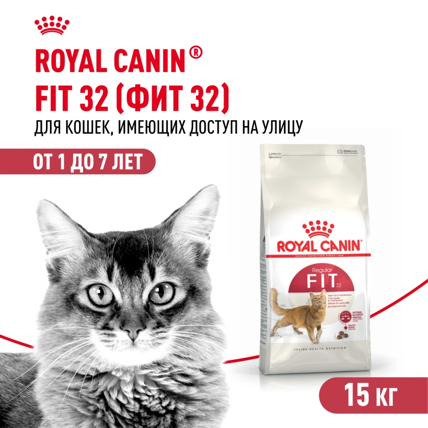 Сухой корм Royal Canin Fit для кошек, 15 кг фото 1