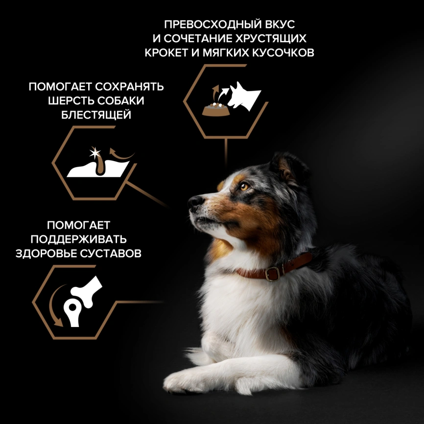 Сухой корм Purina Pro Plan Duo Delice для взрослых собак средних и крупных пород, говядина и рис, 10 кг фото 2