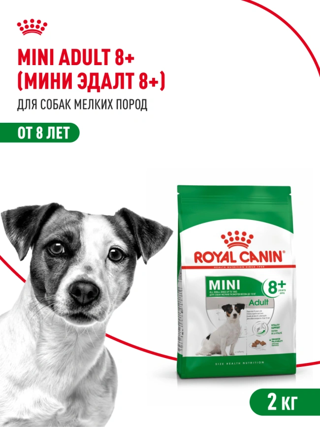 Сухой корм Royal Canin Mini Adult 8+ для пожилых собак, 2 кг фото 13