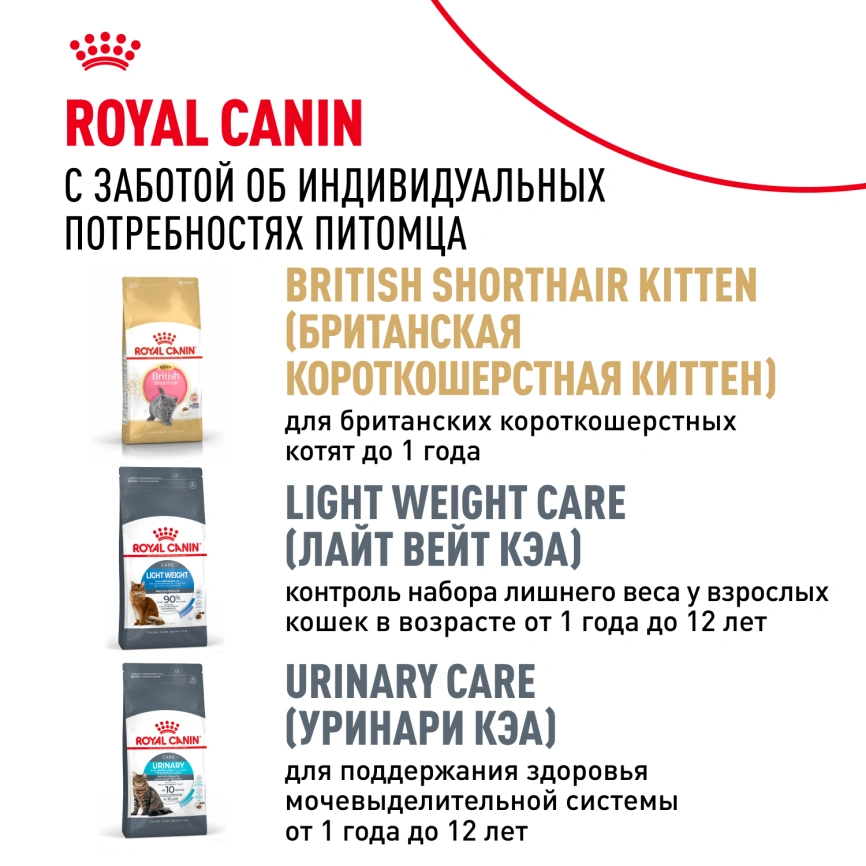 Сухой корм Royal Canin British Shorthair для кошек породы британская короткошерстная, 2 кг фото 10