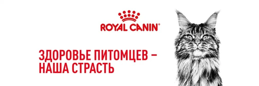 Сухой корм Royal Canin British Shorthair для кошек породы британская короткошерстная, 4 кг фото 21