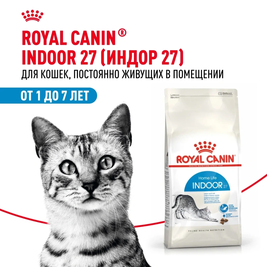 Сухой корм Royal Canin Indoor для кошек, 200 г фото 1