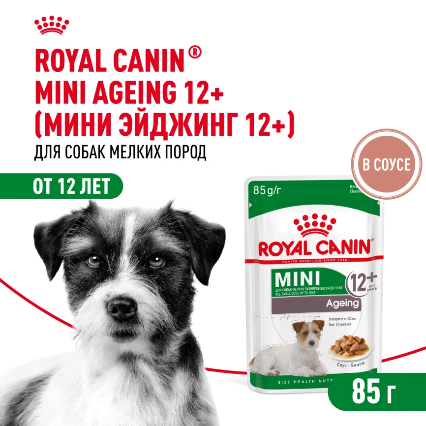 Влажный корм Royal Canin Mini Ageing 12+ в соусе для стареющих собак мелких пород старше 12 лет, пауч, 85 г фото 1