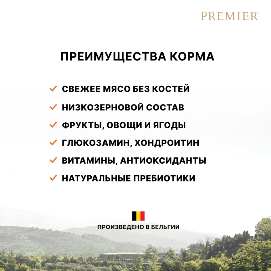 Сухой корм Premier Dog Salmon & Turkey Adult Mini для собак мелких пород, 1 кг фото 3