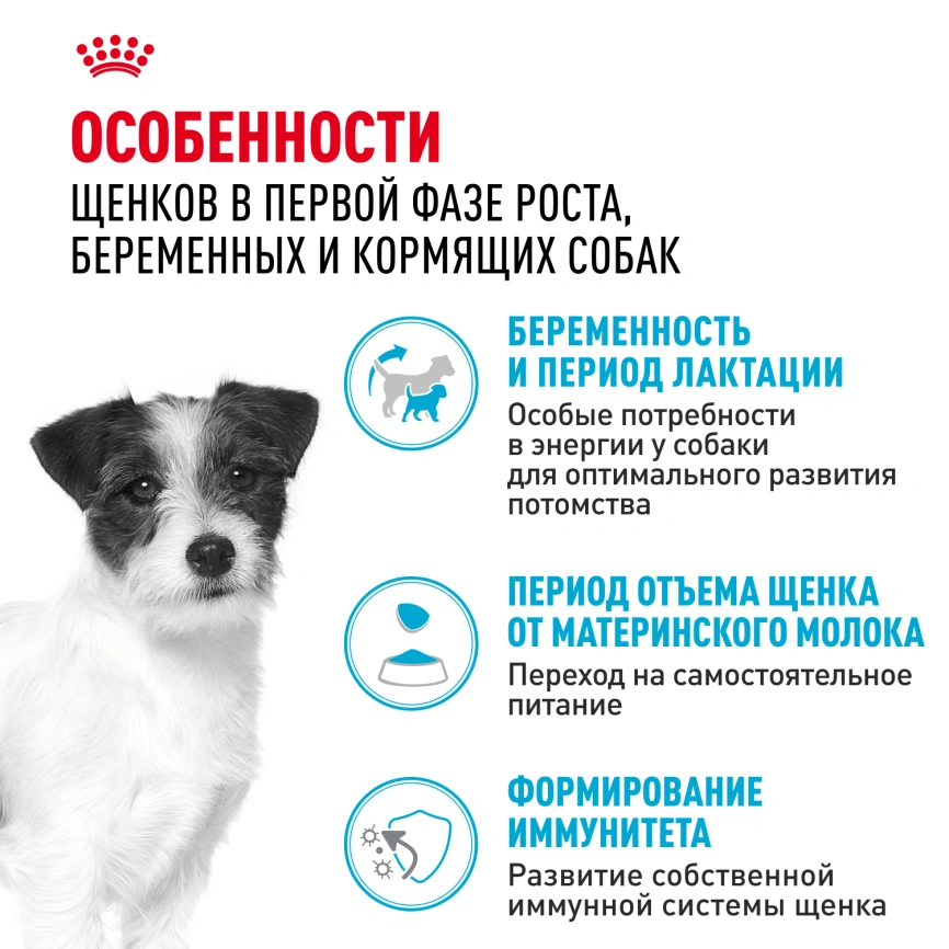 Сухой корм Royal Canin Mini Starter Mother & Babydog для щенков и кормящих сук, 8.5 кг фото 2