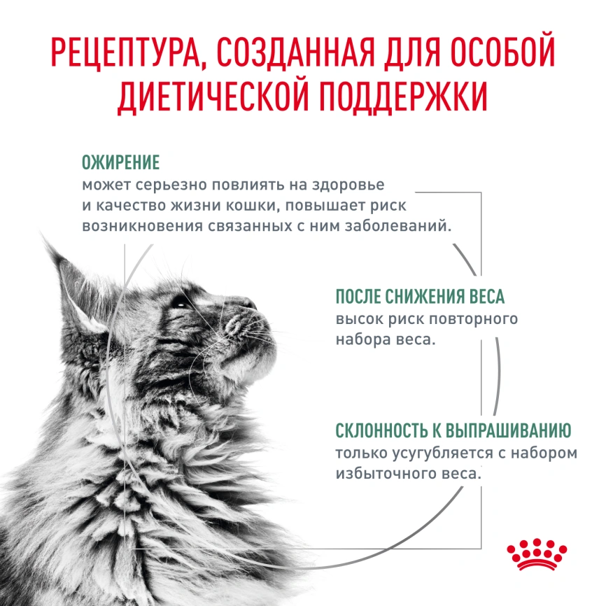 Влажный корм Royal Canin Satiety Weight Management в соусе для кошек при избыточном весе, пауч, 85 г фото 3