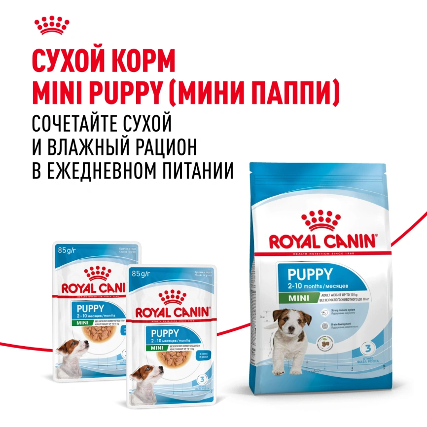 Влажный корм Royal Canin Mini Puppy в соусе для щенков мелких пород до 10 месяцев, пауч, 85 г фото 20