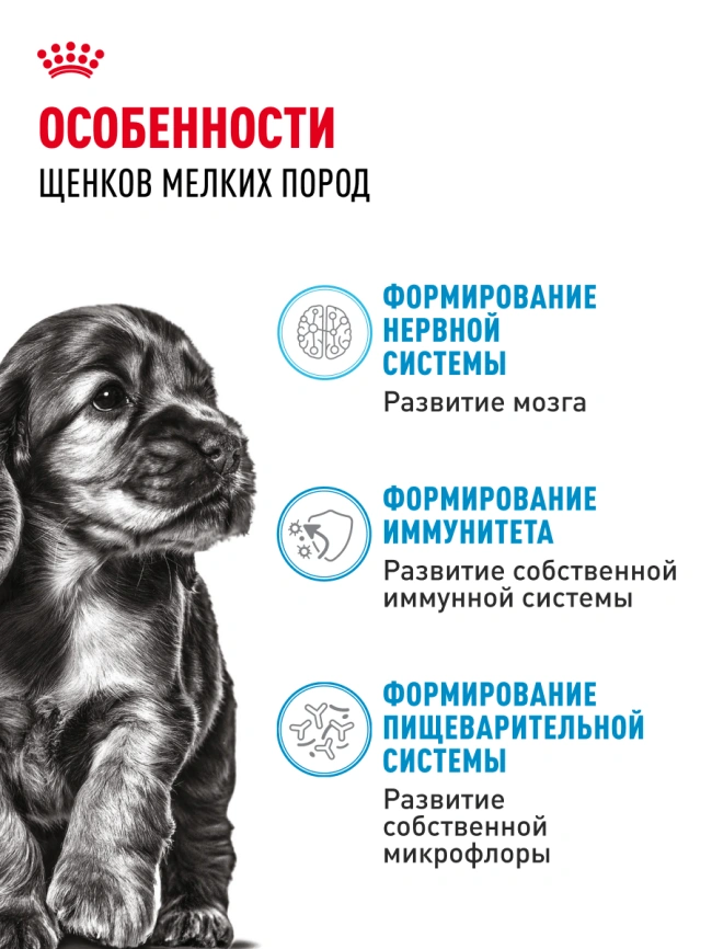 Сухой корм Royal Canin Mini Puppy для щенков, 800 г фото 20