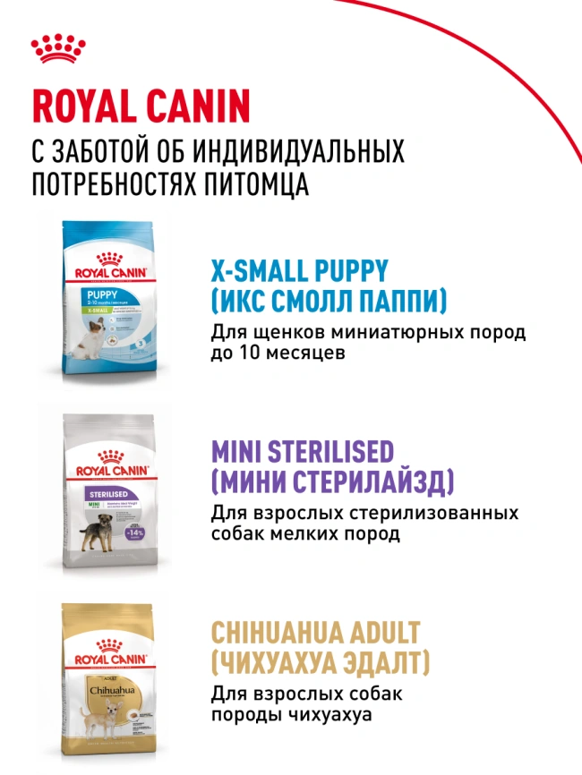Сухой корм Royal Canin X-Small Adult для собак, 3 кг фото 11