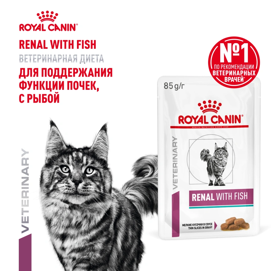 Влажный корм Royal Canin Renal with Fish в соусе для кошек при заболеваниях почек, с рыбой, пауч, 85 г фото 14