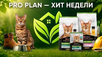 🔥 Хит недели: Легендарный Pro Plan Sterilised!