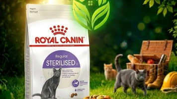 Royal Canin Sterilised 37: выгода и забота в каждой грануле!
