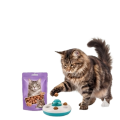 Лакомства для Кошек
